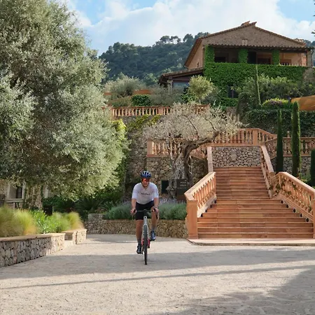- The New Brand By It Mallorca Hotel