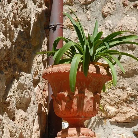 - The New Brand By It Mallorca 5*